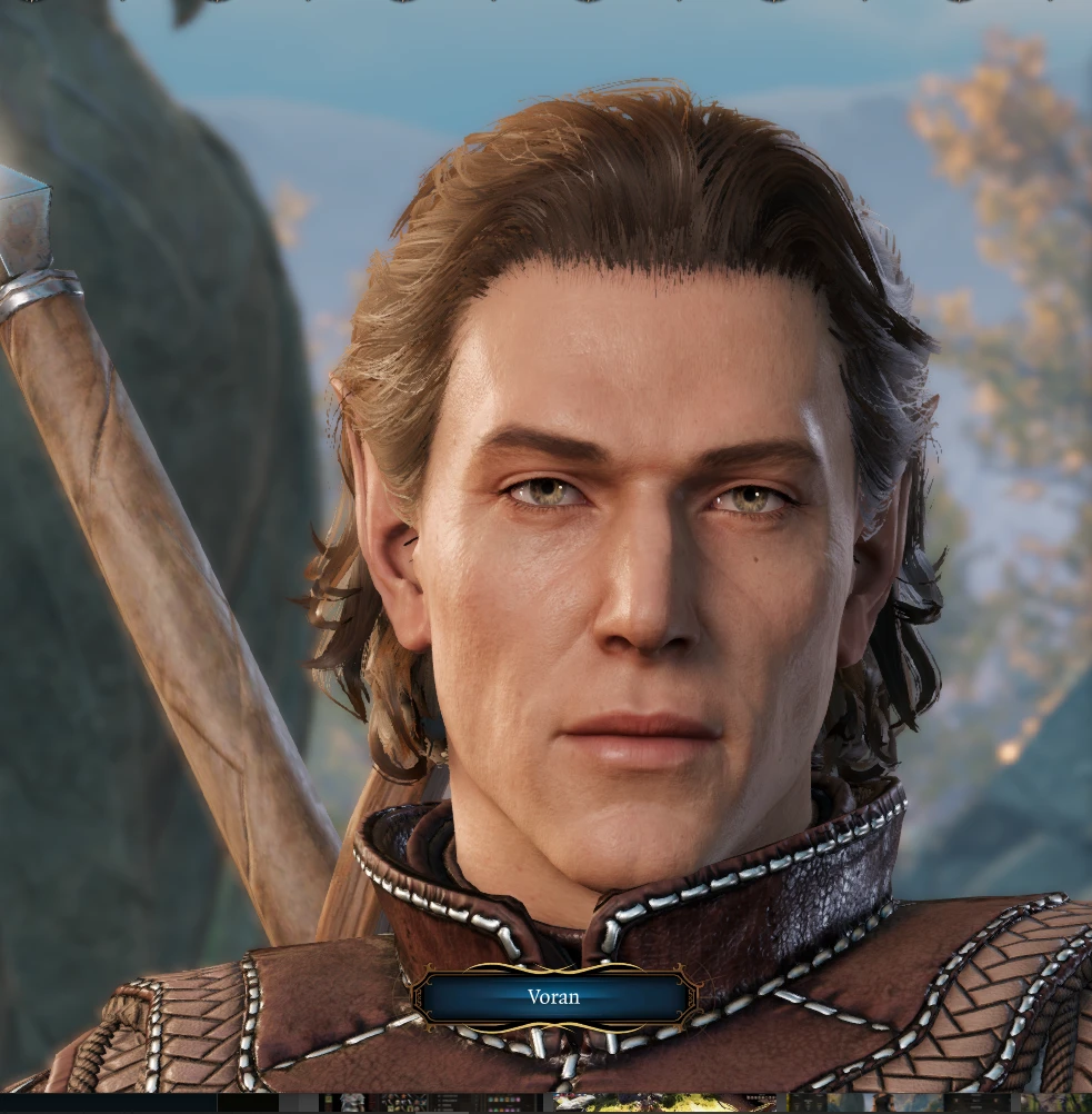 Younger Elf Male Preset 1 at Baldur's Gate 3 Nexus - Mods and community