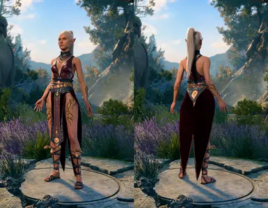 New bodytype option