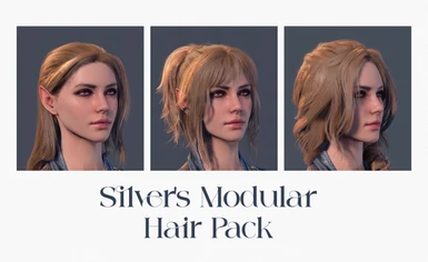 Silver's Modular Hair Pack