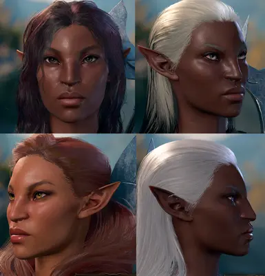 Elf lady Tavizabeth