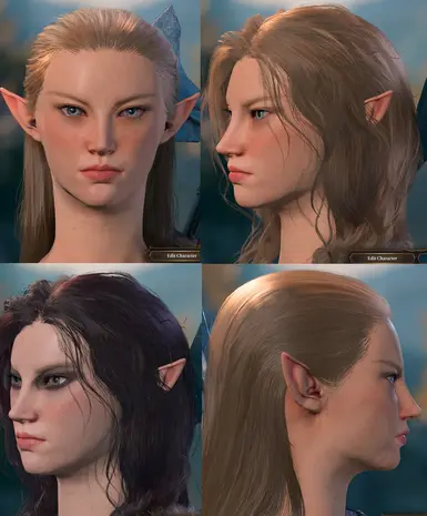 Zelda inspired Half-Elf Zeltav