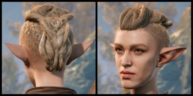 Padme4000 Braid Gnome Female Replaces Hair slot 8