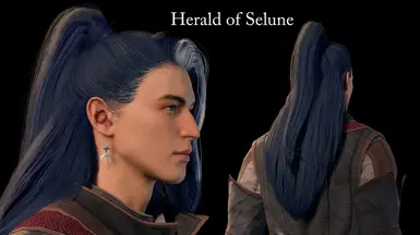 Herald of Selune other views