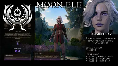Moon Elf
