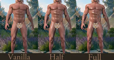 Halsin Glossy Body (Vanilla-Half-Full)