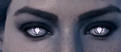 Cat Eyes