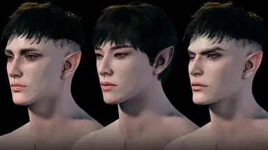 Dark Urges - Male T2 and T4 Head Presets -