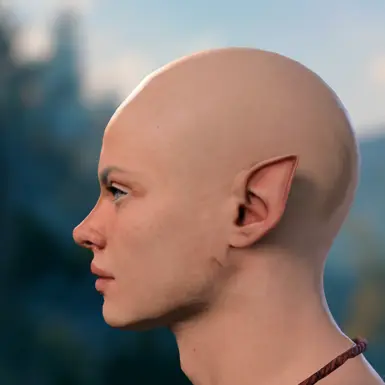 Half-Elf Ear