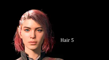 V1.1 Update