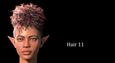 v1.3 update