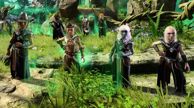 ***Tav*** --&gt; NPC --&gt; ***Custom Companion (Base Race Player)** -&gt; CC (Custom Race Player)