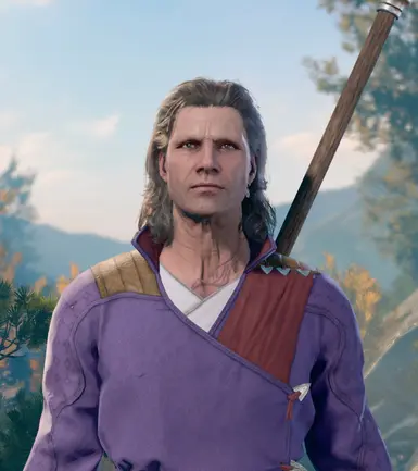 Optional hair version