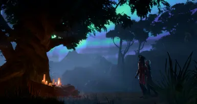 The aurora is visible throughout the scene!