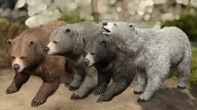 Bears