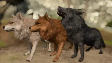 Wolves