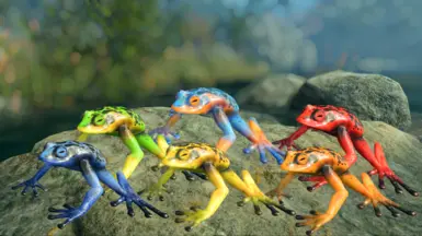 Frogs