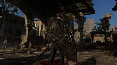 Black Knight Shield
