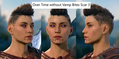 Version 2 