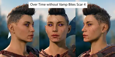 Version 2 