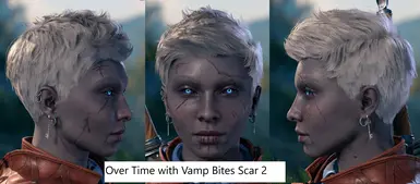 Version 2 with Vamp Bites