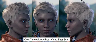 Version 2 with Vamp Bites