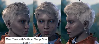 Version 2 with Vamp Bites