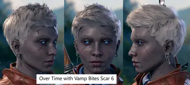 Version 2 with Vamp Bites