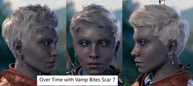 Version 2 with Vamp Bites