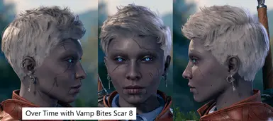 Version 2 with Vamp Bites