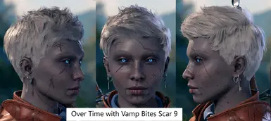 Version 2 with Vamp Bites