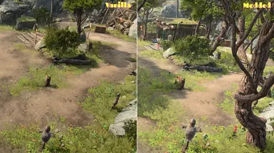 Trees, trees, trees!