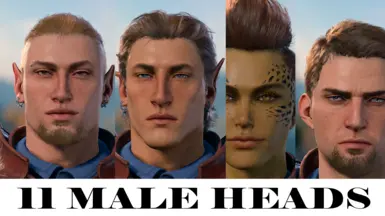 11 Male Heads