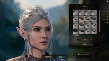 modify makeup