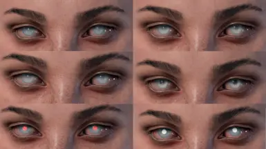 Different blindness levels