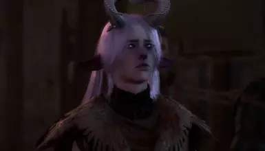My first Durge run ty