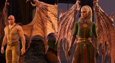Minsc and Jaheira's Wing Dyes