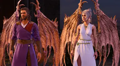 Gale and Shadowheart's Wing Dyes