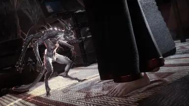 Nice Ankles, Bro
