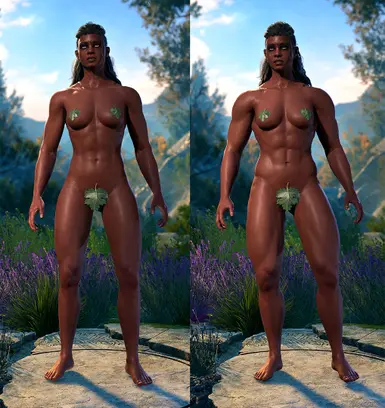 Human/Elf/Drow body comparison (Vanilla &gt; New)