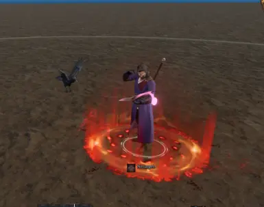 DIfferent animation for all spellbook spells 