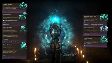 Subclass spells and features.