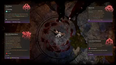 Subclass features.