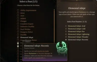 Elemental Adept Necrotic