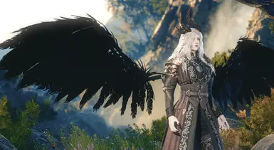 Decayed Wings