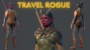 Travel Rogue Armor