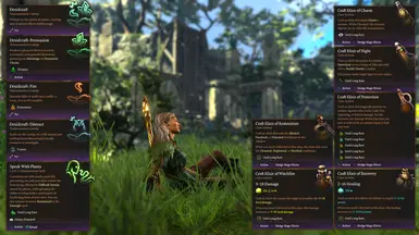 Bonus spells and elixirs.