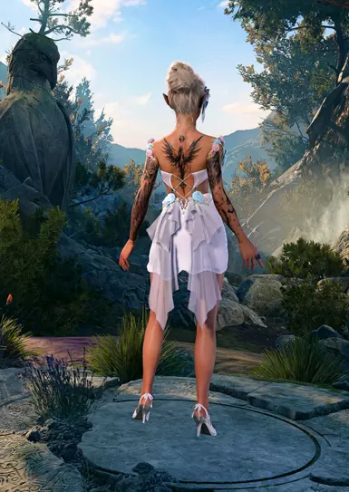 Transparent cloak