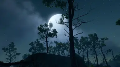 without Velarion ReShade