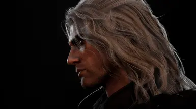 Geralt - Henry Cavill T2 and T4
