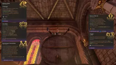Subclass features and spells.